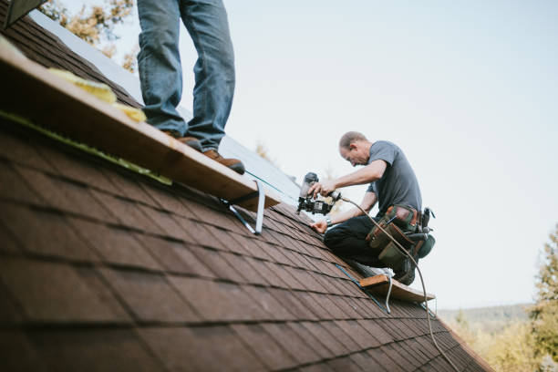 Best Roof Gutter Cleaning  in San Ramon, CA